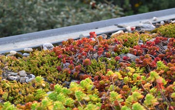 the cost of Penrose green roof installation
